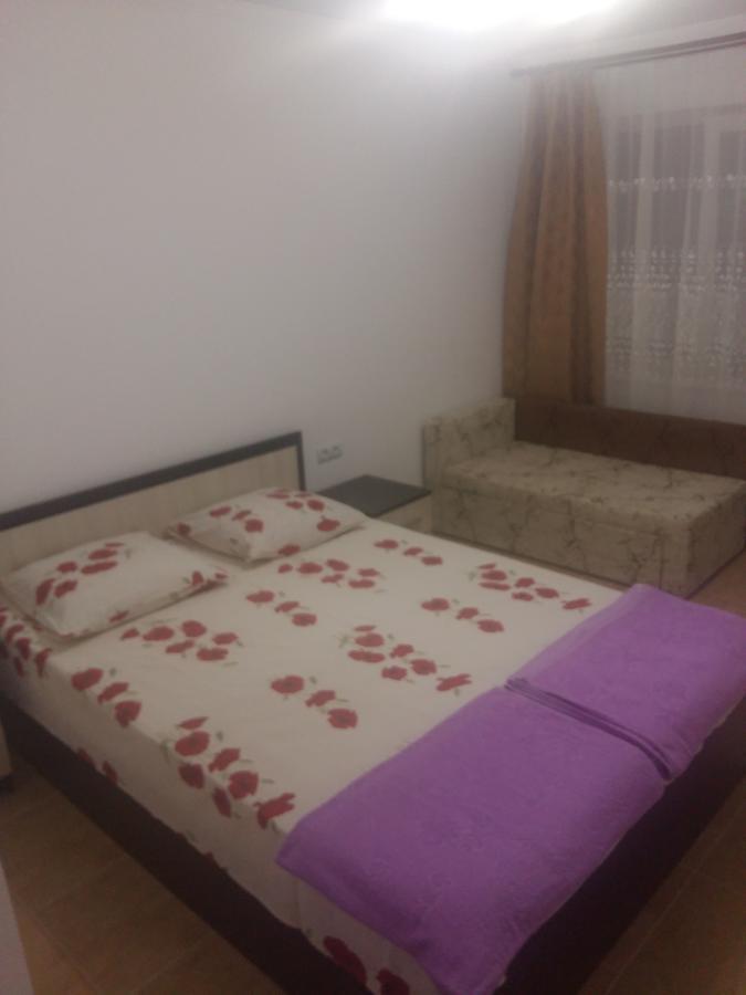 Guest House U Aleny ガグラ エクステリア 写真